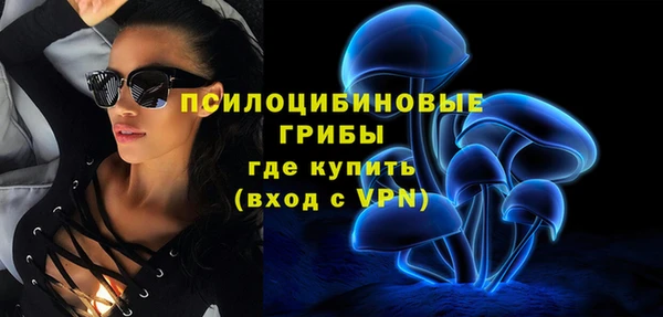 стаф Арсеньев