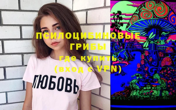 стаф Арсеньев