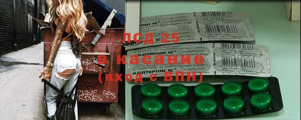 стаф Арсеньев