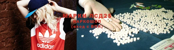 стаф Арсеньев