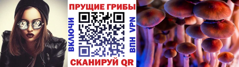 Галлюциногенные грибы ЛСД  наркота  Сорочинск 