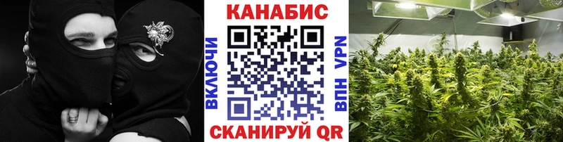 Каннабис план  купить  сайты  Сорочинск 